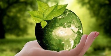 Article - The environmental Benefits of Proper Waste Sorting