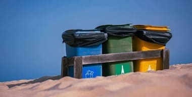 Article - Green Waste vs. General Waste: Which Skip Bin Do You Need?