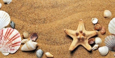 Article - 10 Must-Know Tips for Saving Energy This Summer