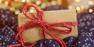 Article - Holiday Season Waste: Tips to Manage Your Waste